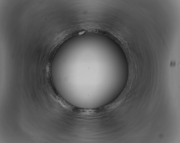X0000091010288200708021413