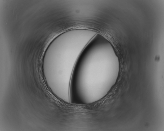 X0000091010289200708021412
