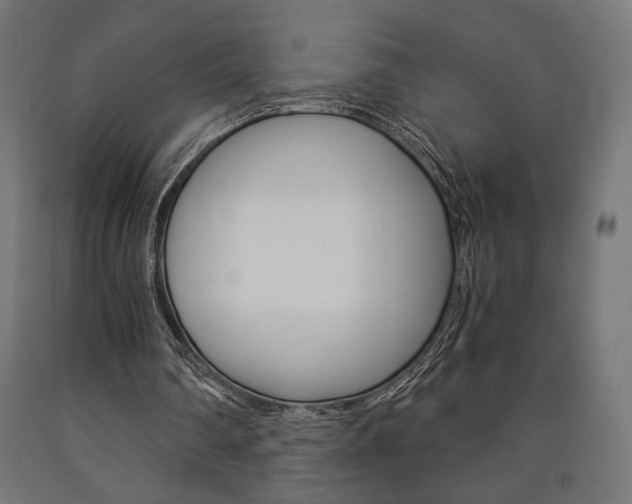 X0000091010290200708021412