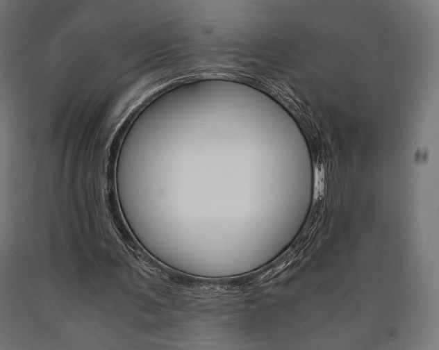 X0000091010291200708021412