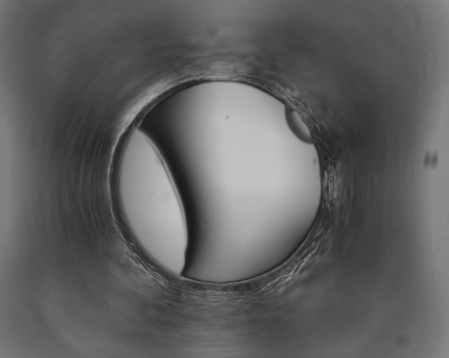 X0000091010292200708021412