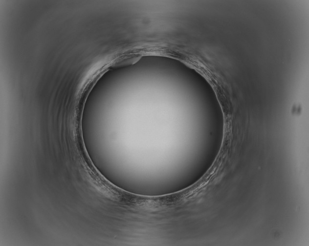 X0000091010293200708021412