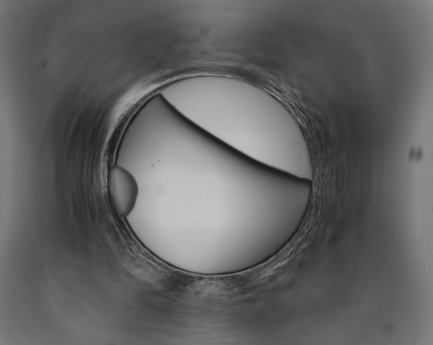 X0000091010294200708021412
