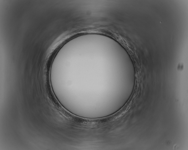 X0000091010295200708021412