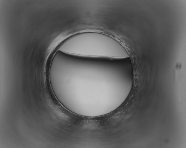 X0000091010296200708021412