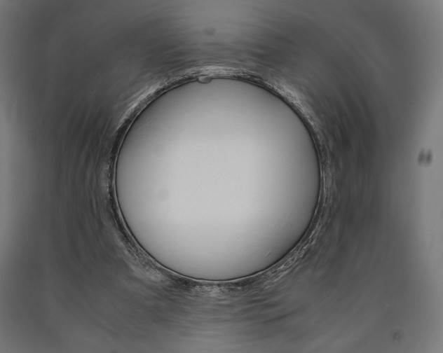 X0000091010297200708021412