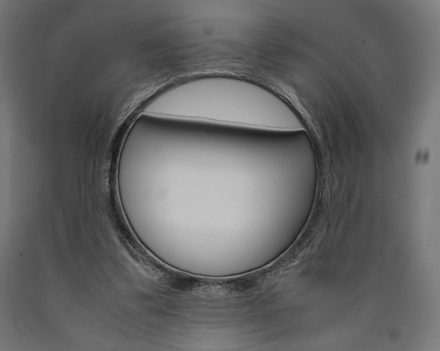 X0000091010299200708021412