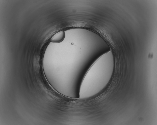X0000091010300200708021412