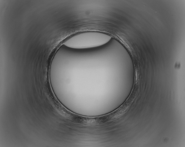 X0000091010301200708021412