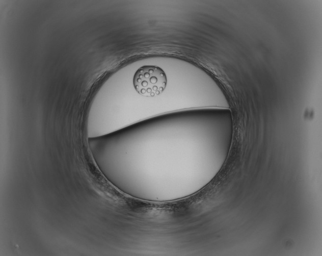 X0000091010303200708021412