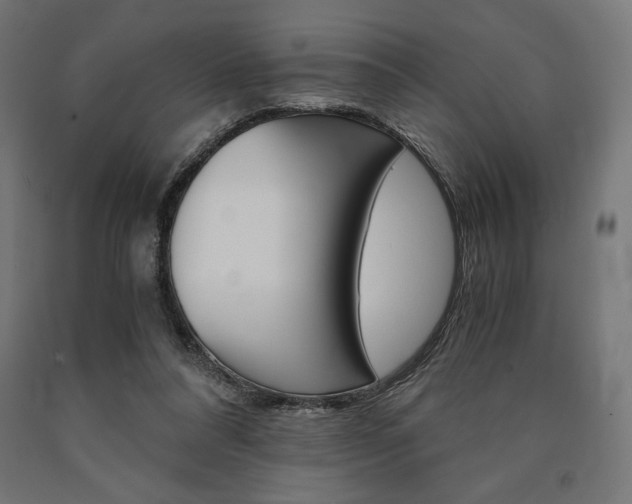 X0000091010304200708021412