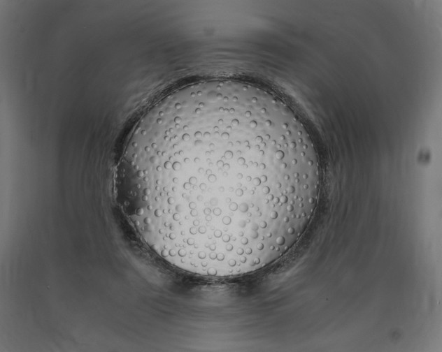 X0000091010307200708021412