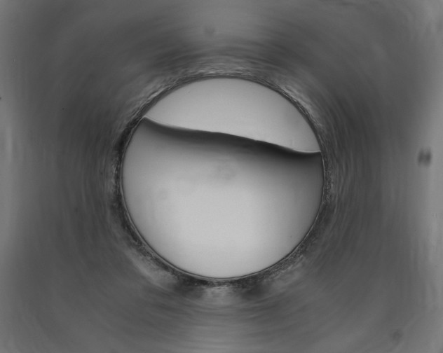 X0000091010309200708021412