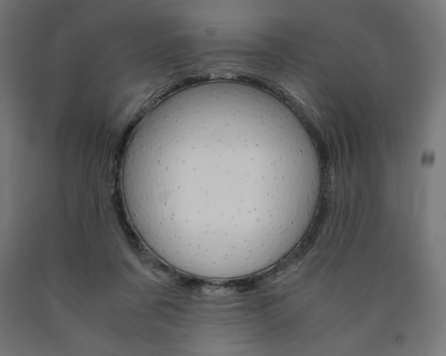X0000091010311200708021412