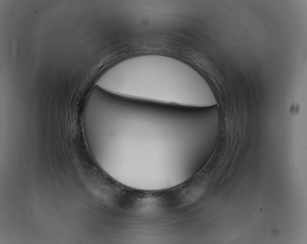 X0000091010312200708021412