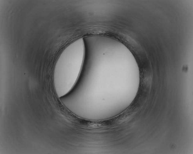 X0000091010315200708021412