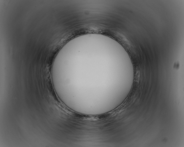 X0000091010318200708021412