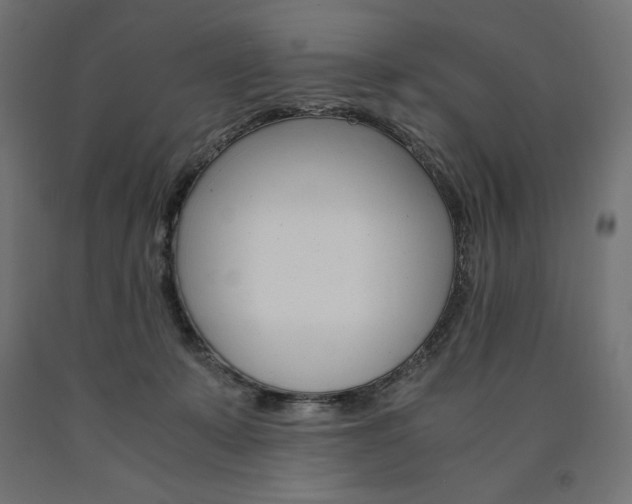 X0000091010319200708021412