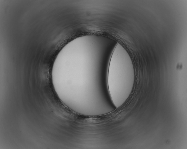 X0000091010320200708021412