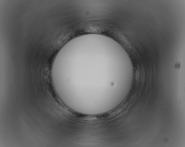 X0000091010322200708021412