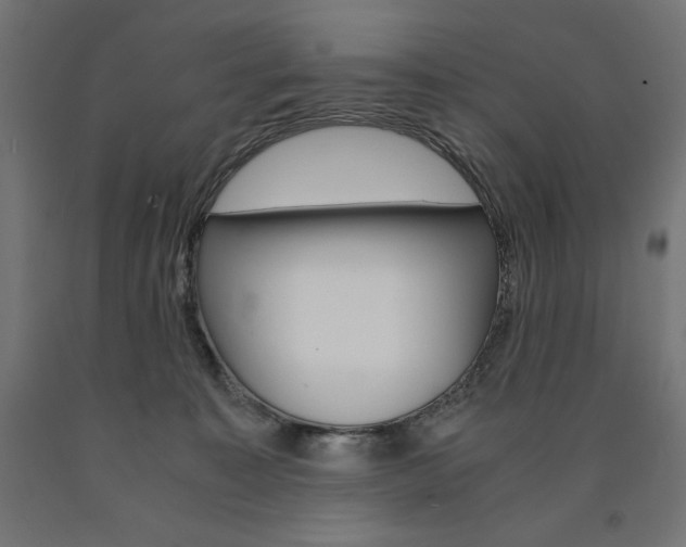 X0000091010323200708021412