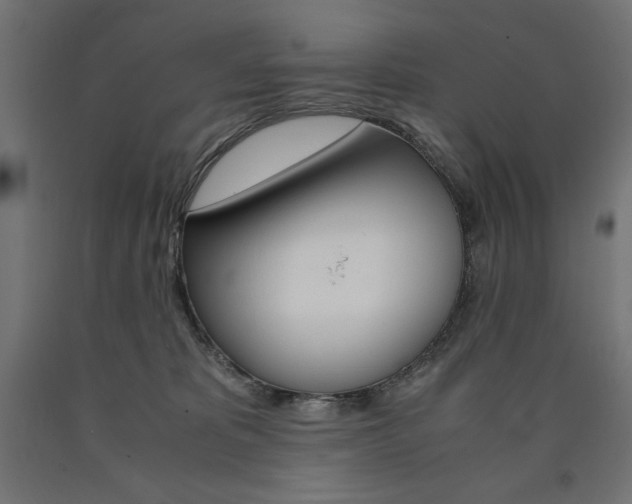 X0000091010325200708021412