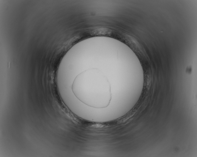 X0000091010326200708021412