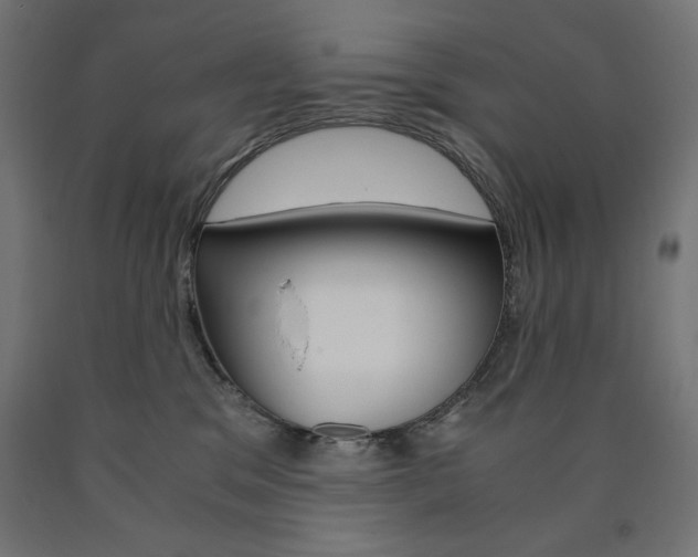 X0000091010329200708021412