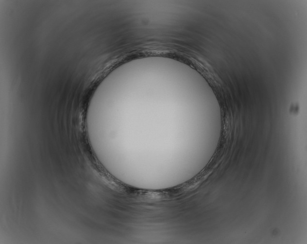 X0000091010330200708021412