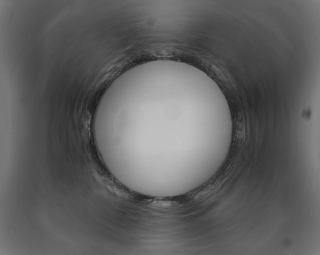 X0000091010332200708021411