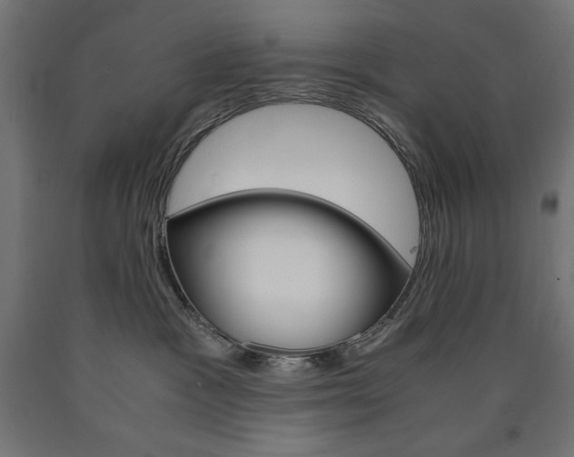 X0000091010333200708021411