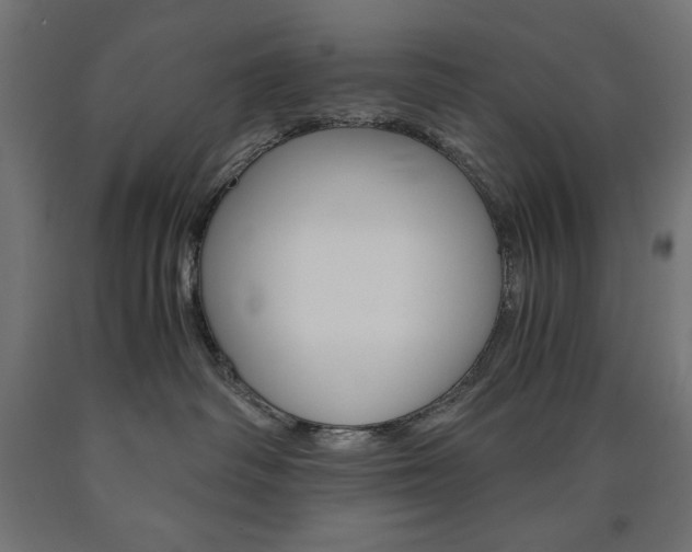 X0000091010334200708021411