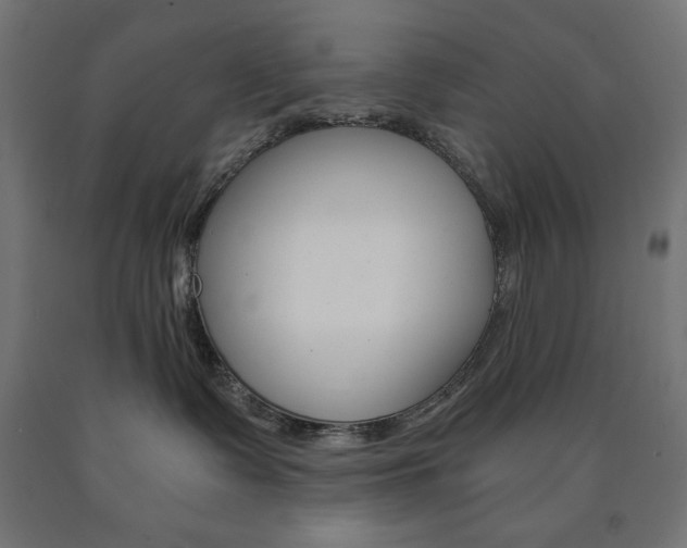 X0000091010335200708021411