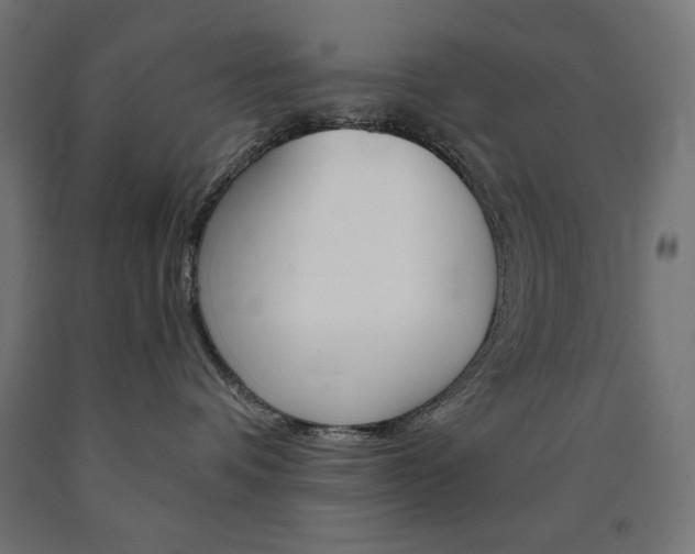 X0000091010336200708021411