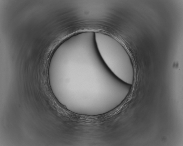 X0000091010337200708021411