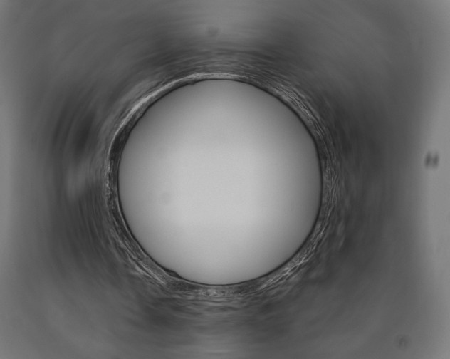 X0000091010338200708021411