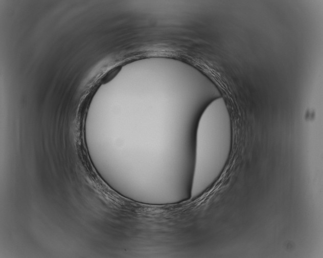 X0000091010339200708021411