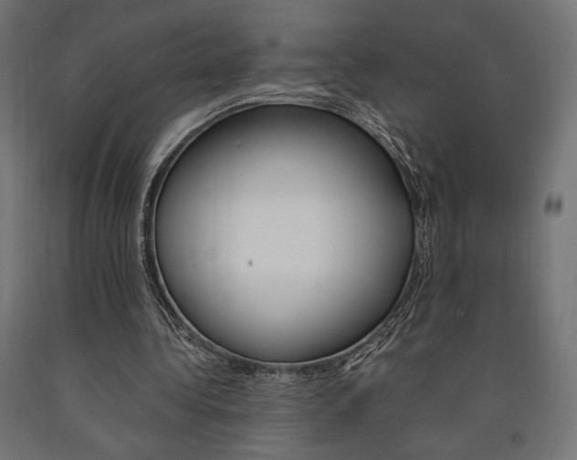 X0000091010340200708021411