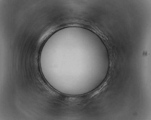 X0000091010341200708021411