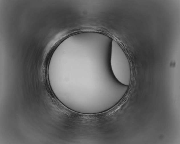 X0000091010343200708021411