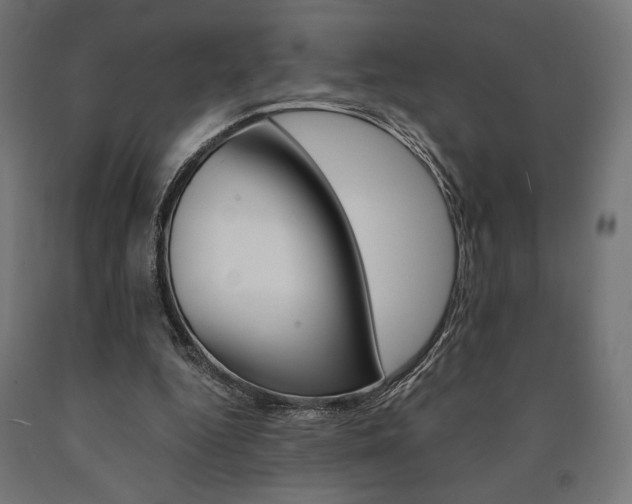 X0000091010344200708021411