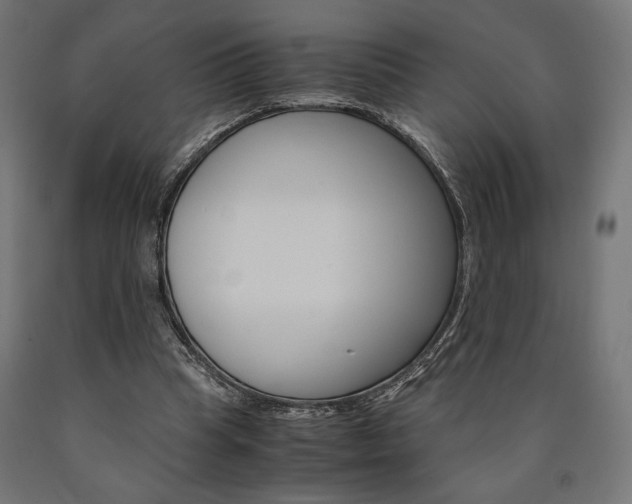 X0000091010345200708021411
