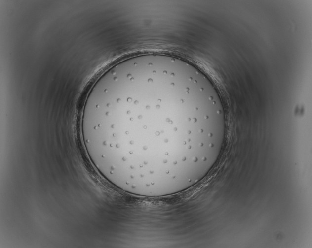 X0000091010346200708021411