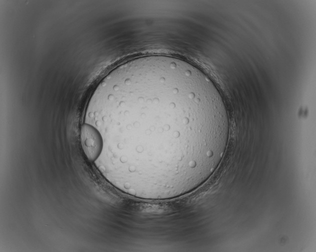 X0000091010347200708021411