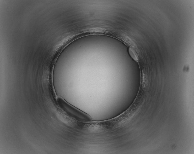 X0000091010348200708021411