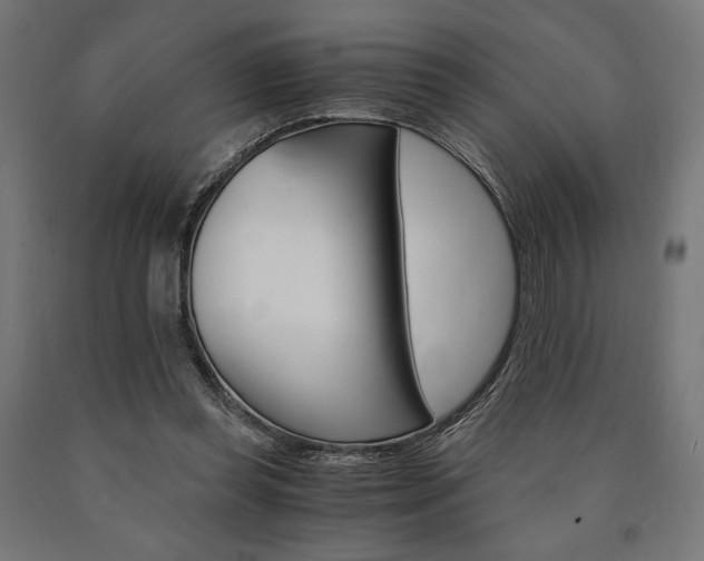 X0000091010349200708021411