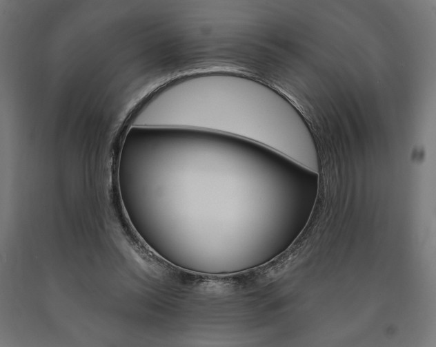 X0000091010350200708021411