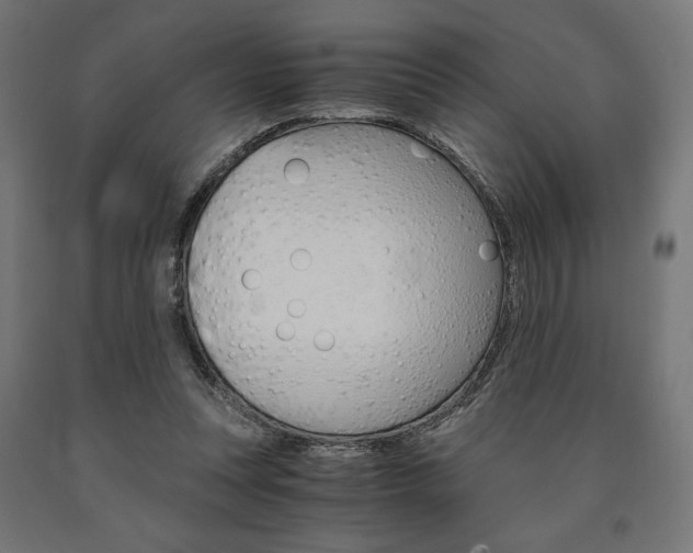 X0000091010351200708021411