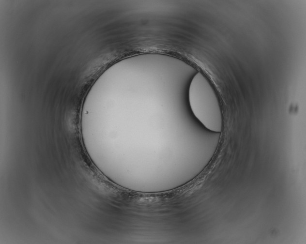 X0000091010353200708021411