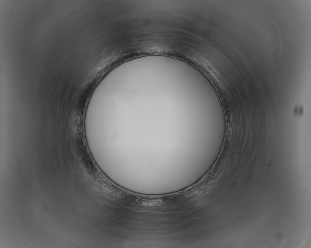 X0000091010355200708021411